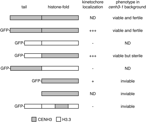 Figure 3.—