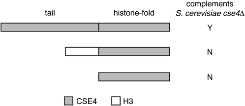 Figure 4.—