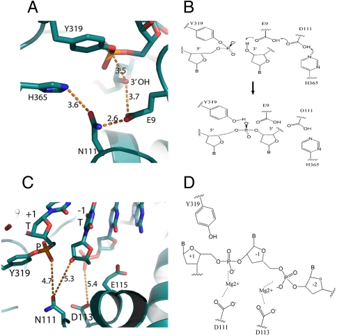 Fig. 5.