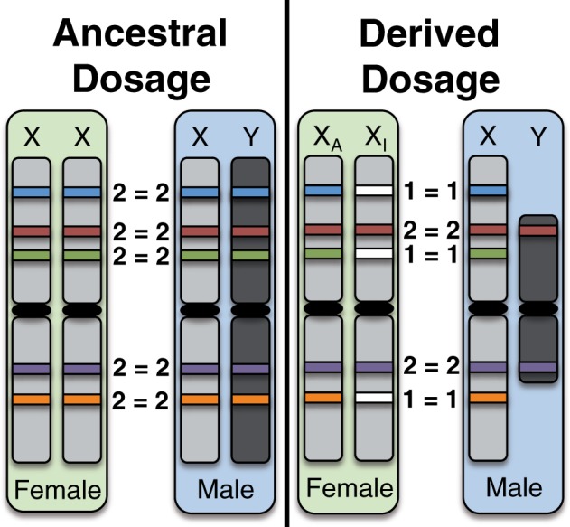 Fig. 2.