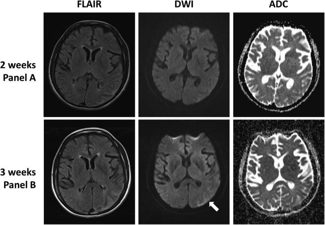 Fig. 4