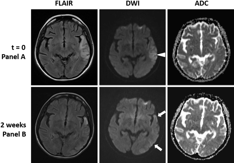 Fig. 2