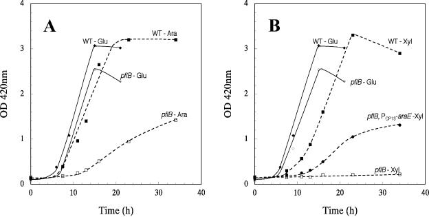 FIG. 5.