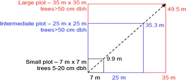 Fig. 3