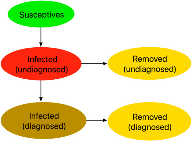 mma7039-fig-0003