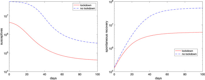 mma7039-fig-0008