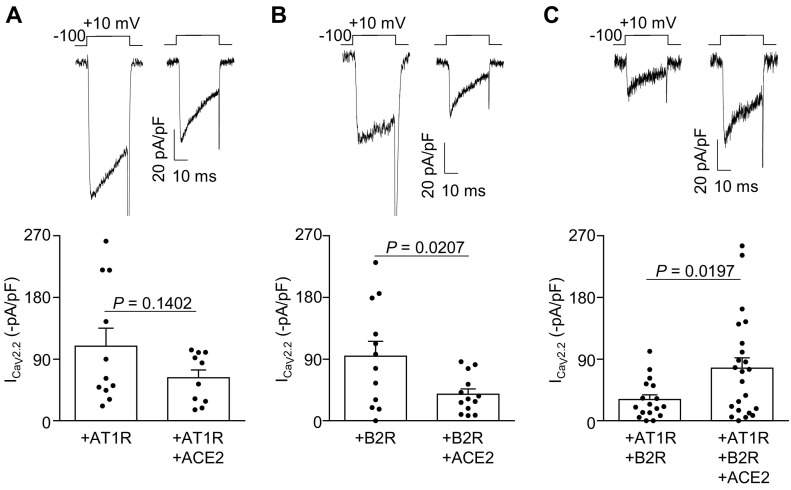 Fig. 7