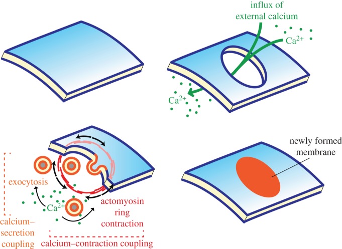 Figure 2.