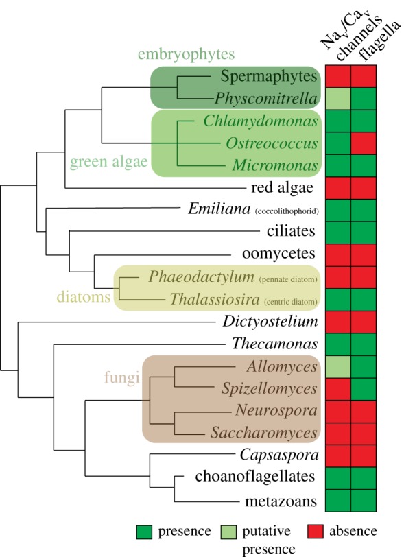 Figure 6.