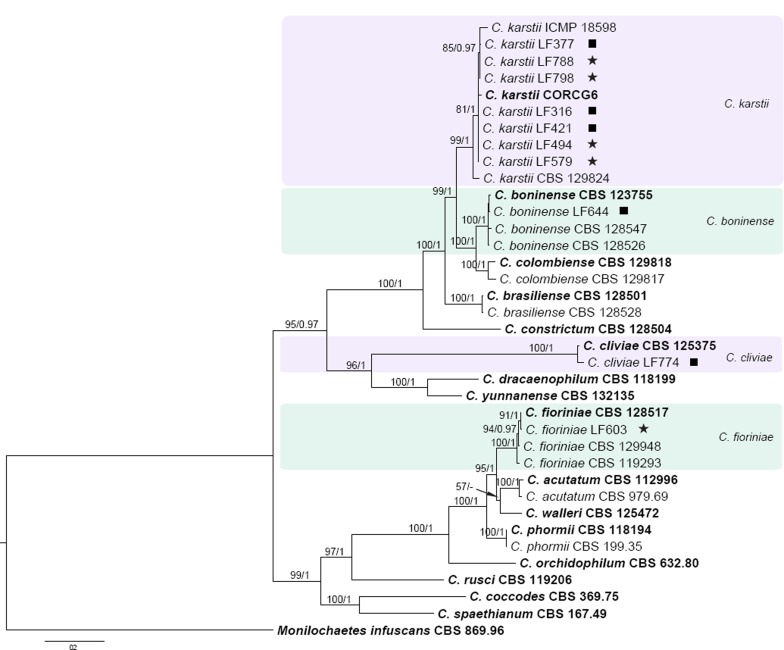 Fig. 2