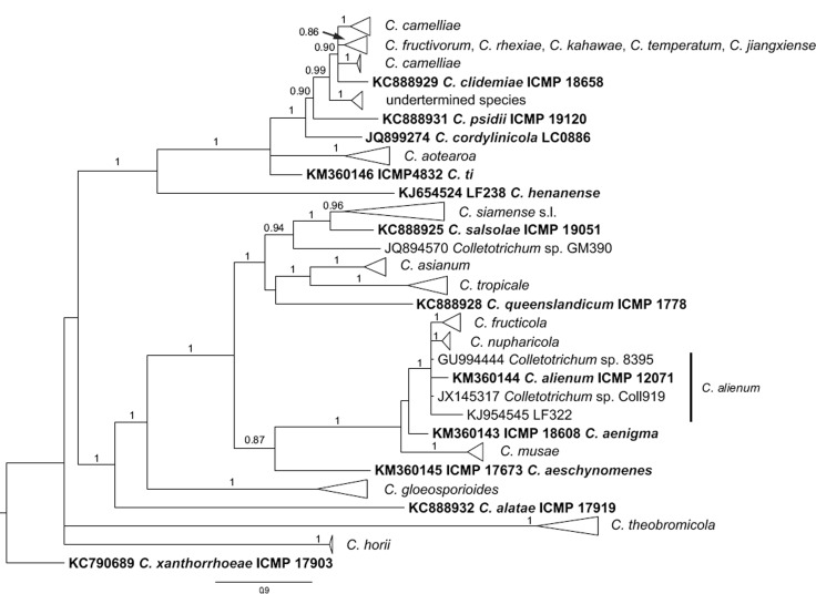 Fig. 3