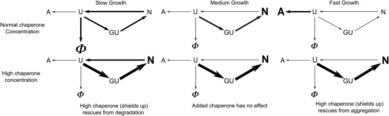 Fig. 6.