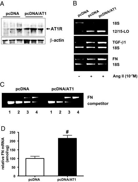 Figure 10.