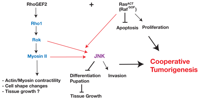 Fig. 10.