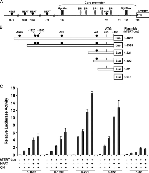 FIGURE 3.