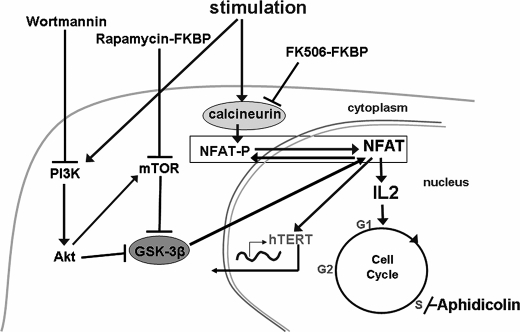 FIGURE 7.