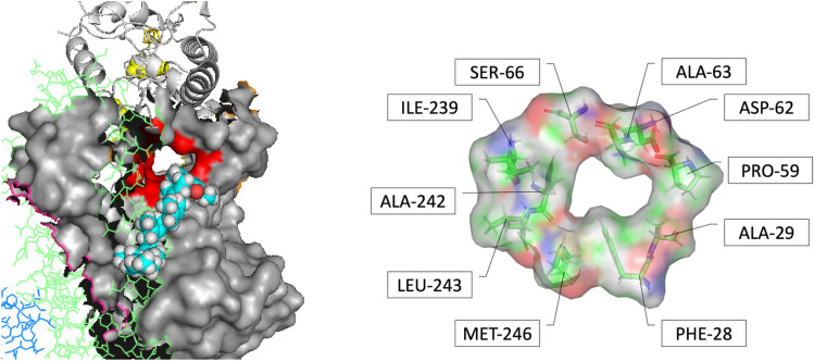 Fig. 1