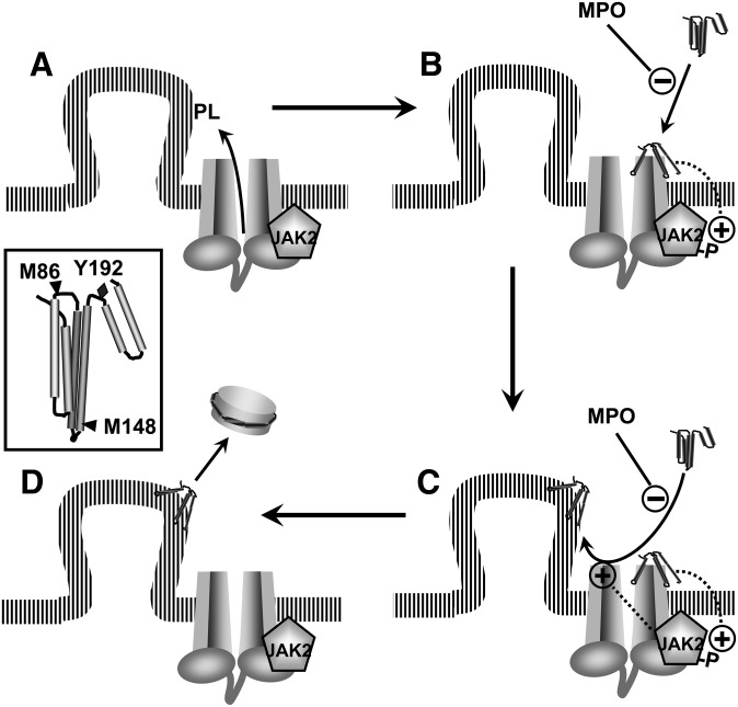 Fig. 9.