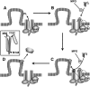 Fig. 9.