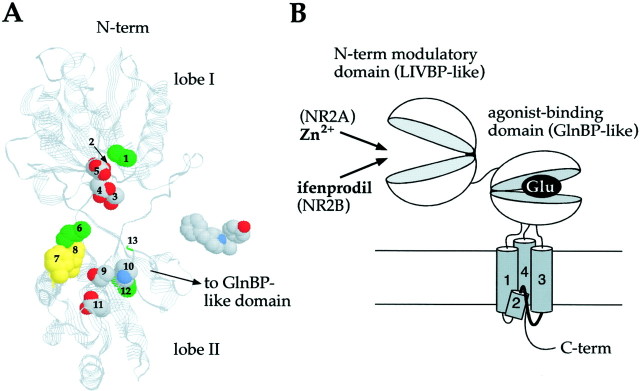 Fig. 8.