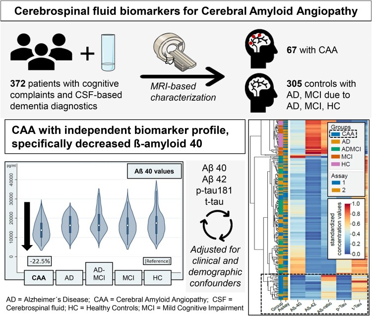 Graphical abstract