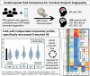 Graphical abstract