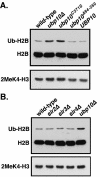 FIG. 6.