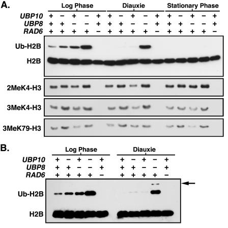 FIG. 7.