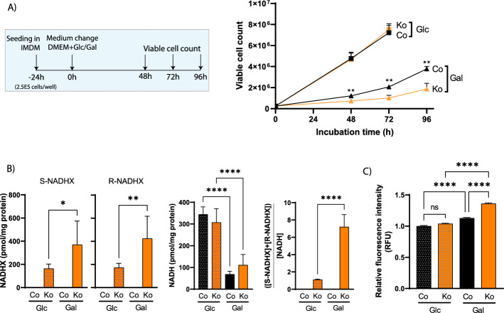 Fig. 2
