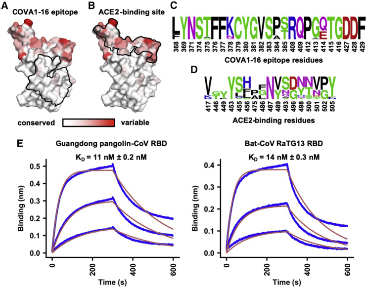 Figure 4