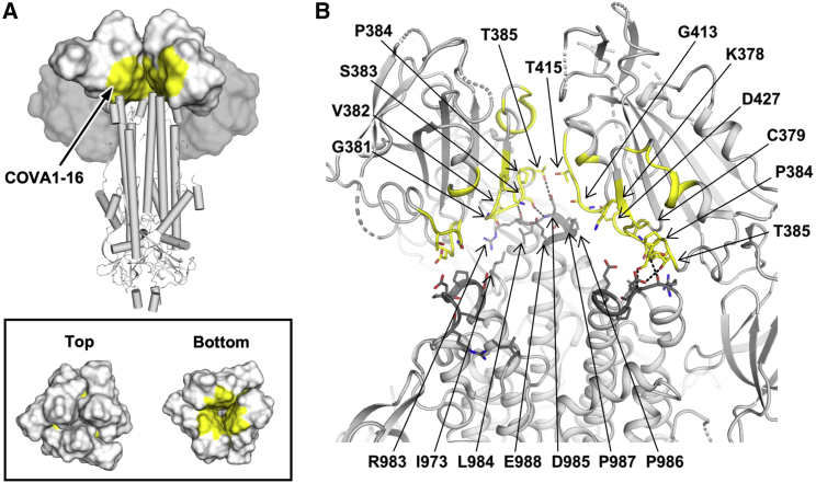 Figure 5