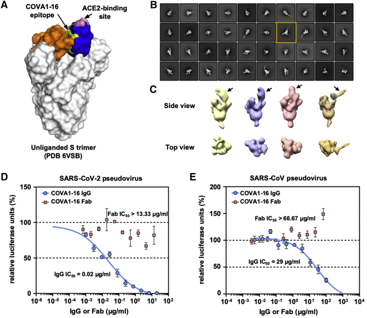 Figure 2