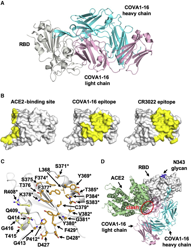 Figure 1