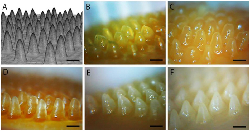 Fig. 8.