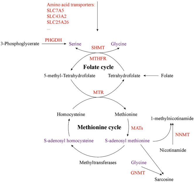 Figure 2: