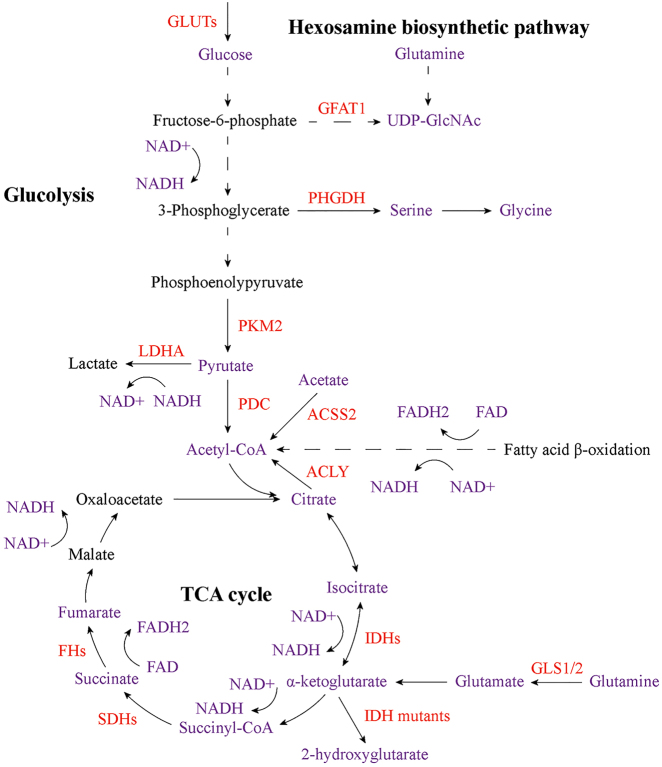 Figure 3: