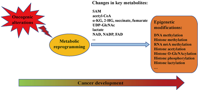 Figure 1: