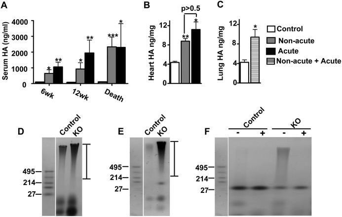 FIGURE 9.