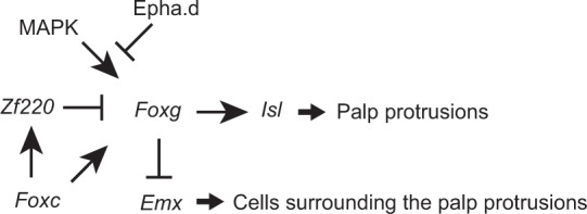 Fig. 9