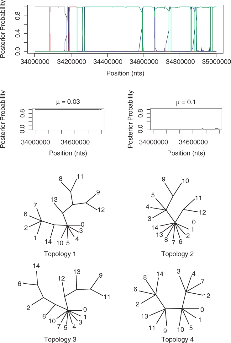 Fig. 9.