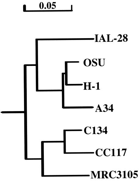 FIG. 3.