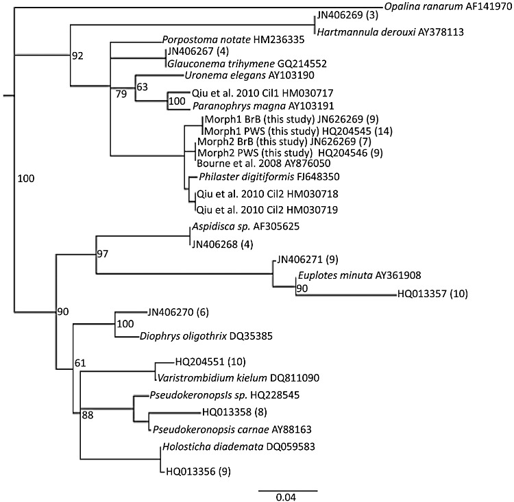 Fig. 4