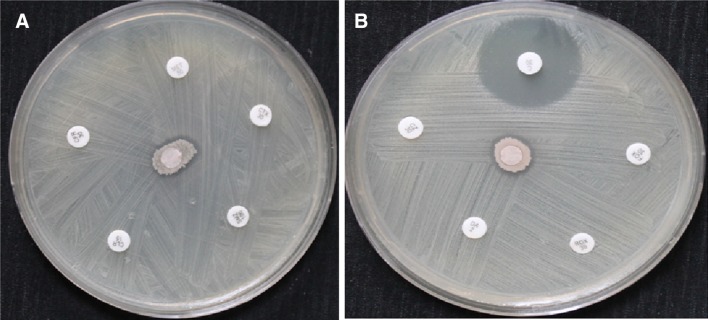 Fig. 2