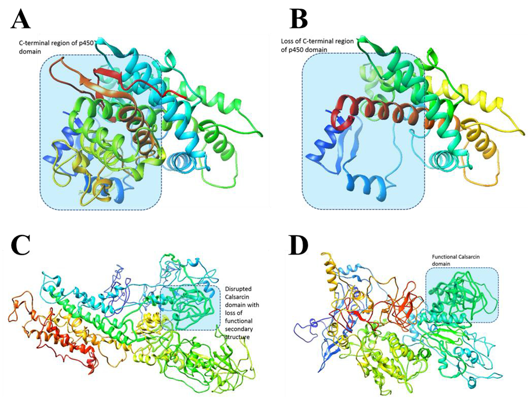 Figure 4: