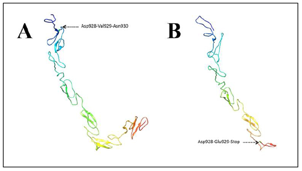 Figure 3: