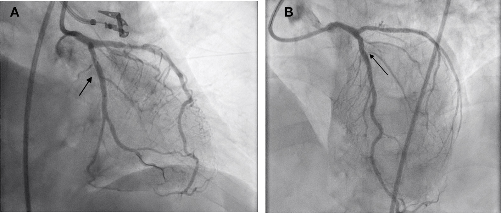Fig. 9