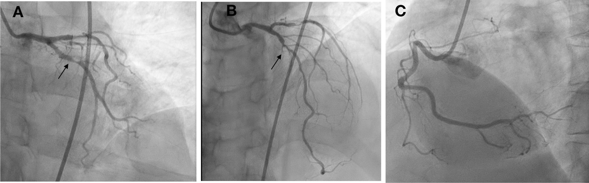 Fig. 8