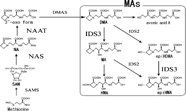 Fig. 2