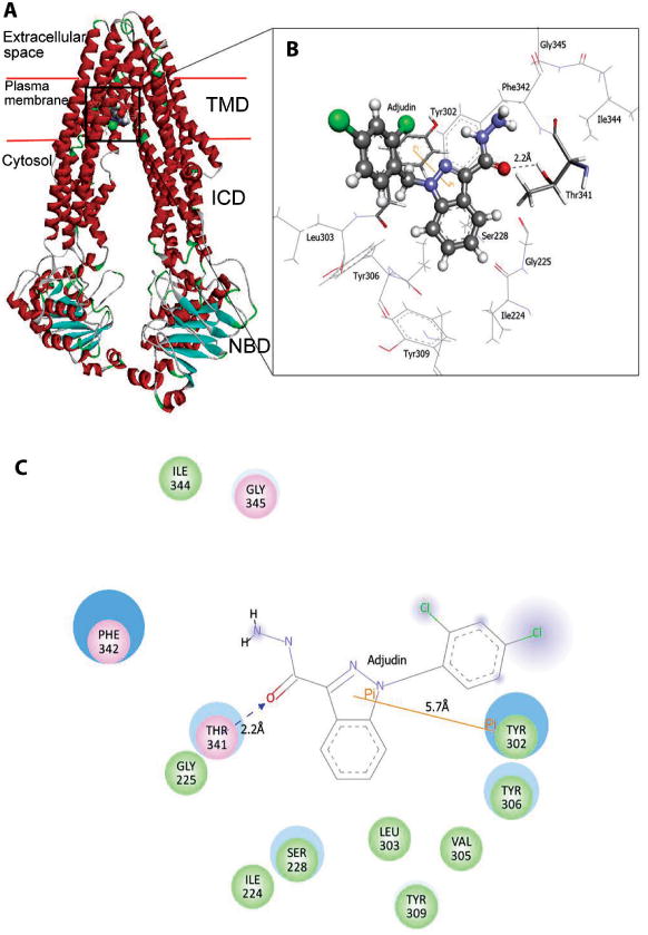 Figure 4