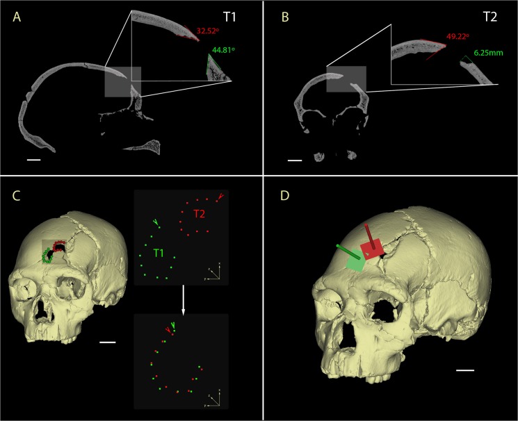 Fig 4